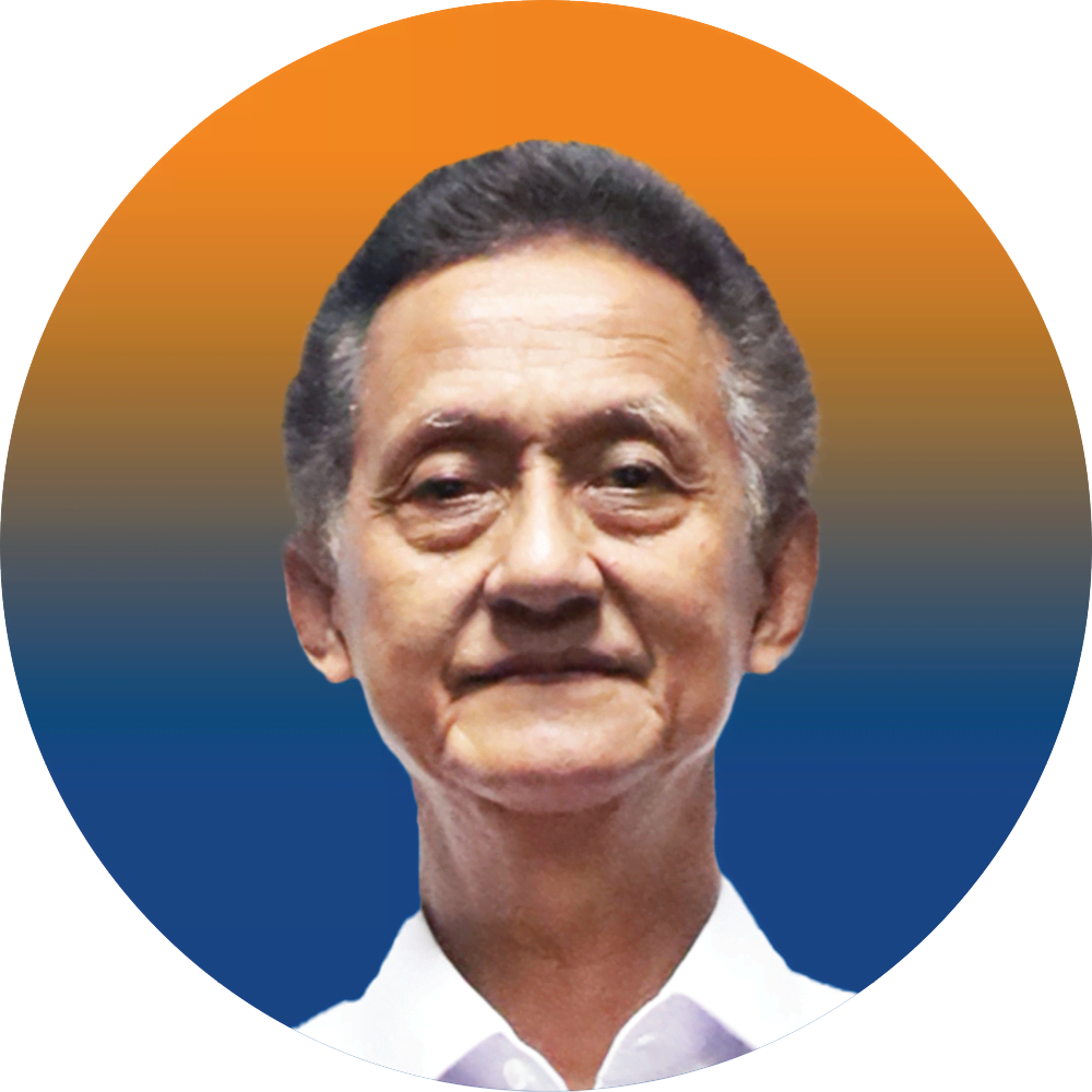 BUDIARTO LINGGOWIJONO